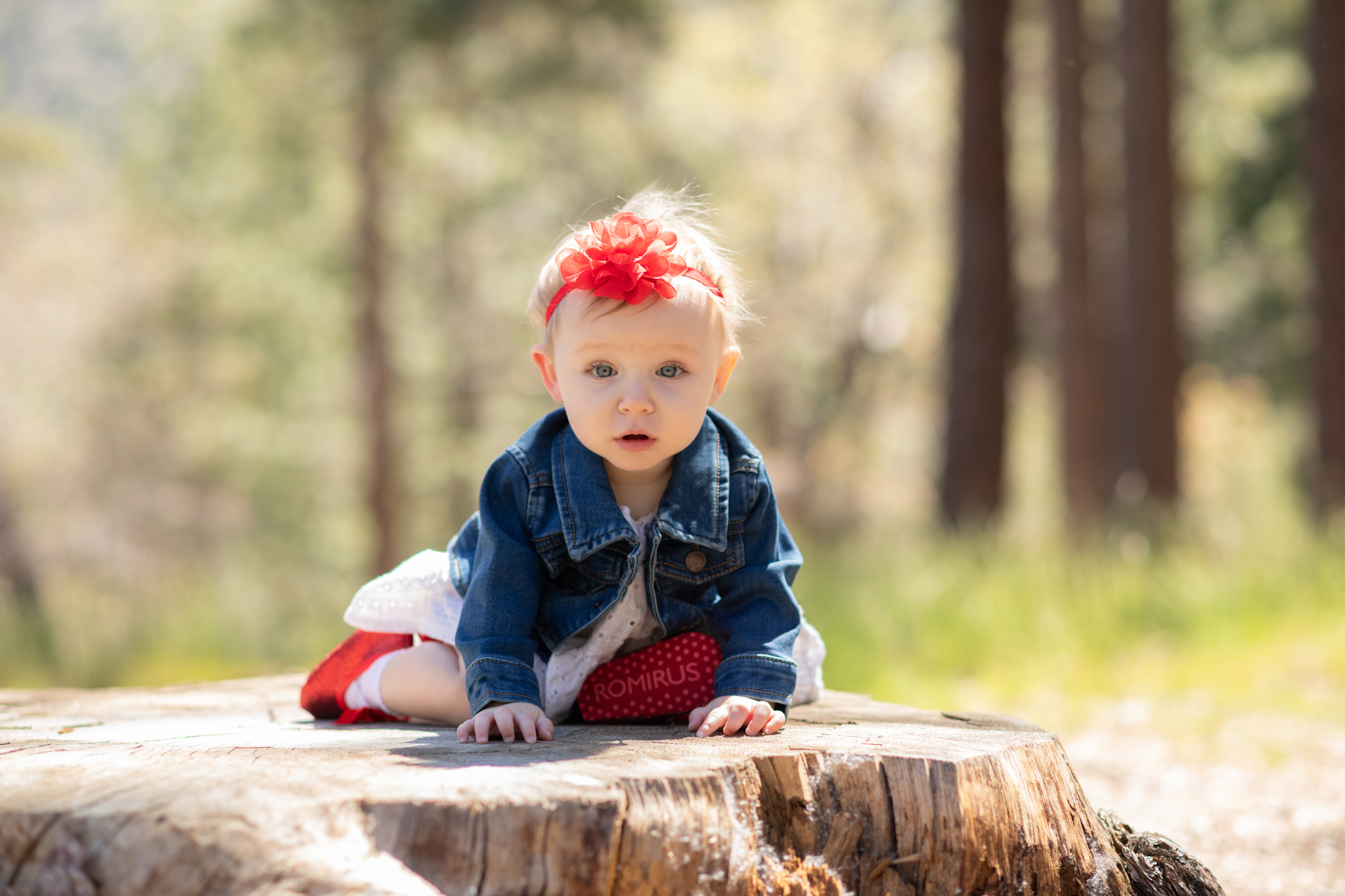 Light and airy pictures of a baby girl sitting on a magical bridge in the mountains of Wrightwood California. Baby is smashing a colorful cake and smearing it on her face in these high desert portraits